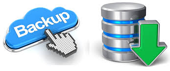 Server Backup
