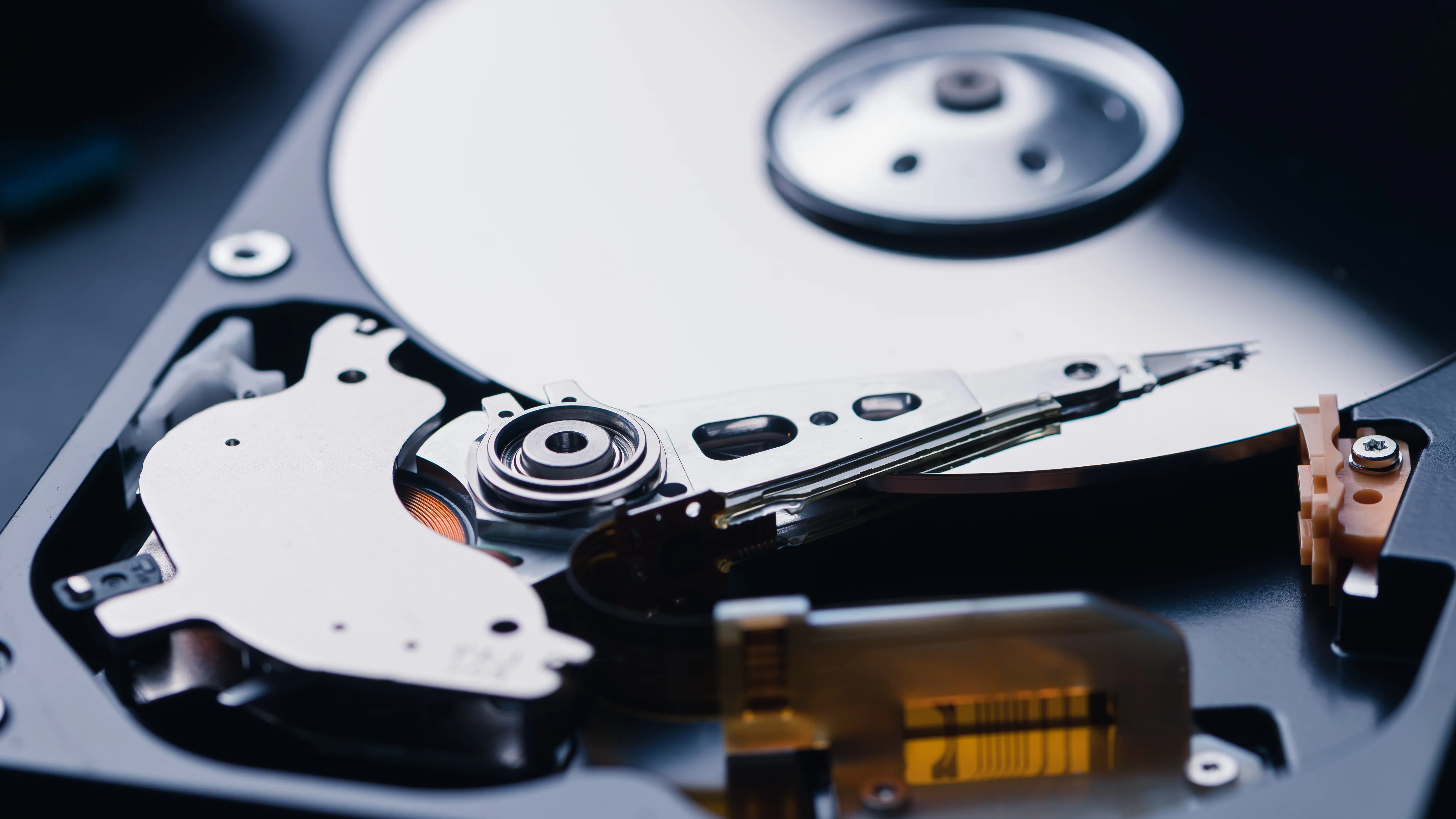 Data Management & Backup