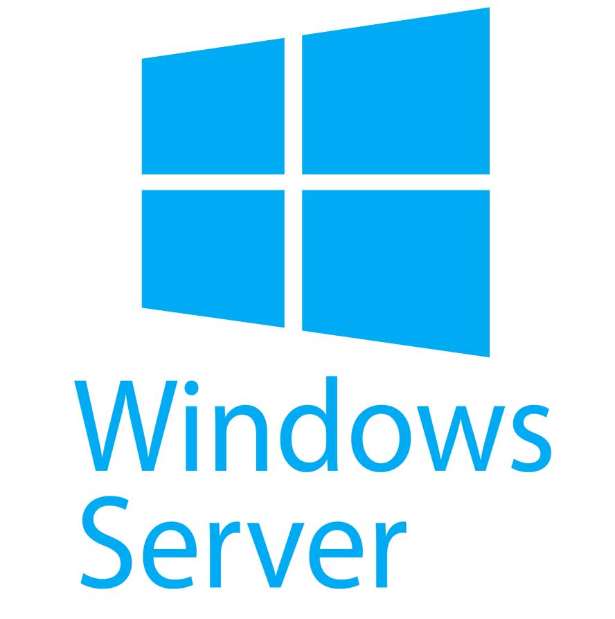 Windows Server Management service
